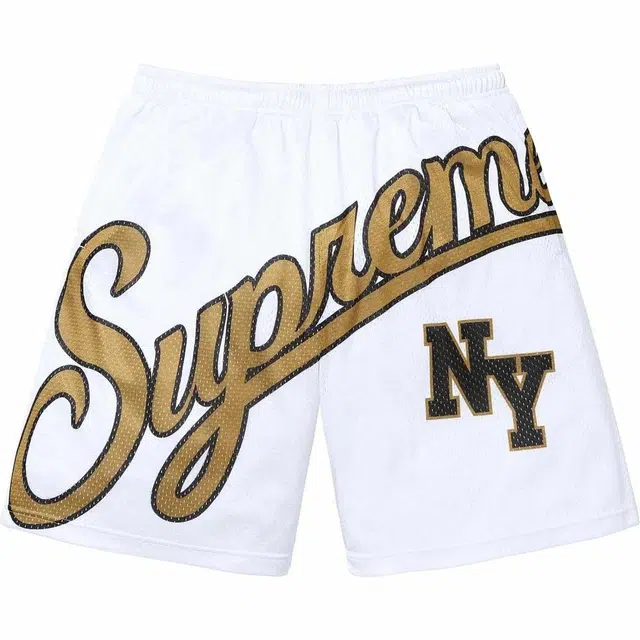 Supreme SS24 WEEK15 BIG SCRIPT MESH SHORT Logo