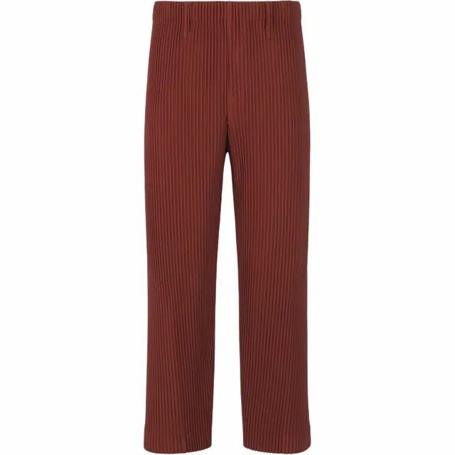 Homme Pliss Issey Miyake