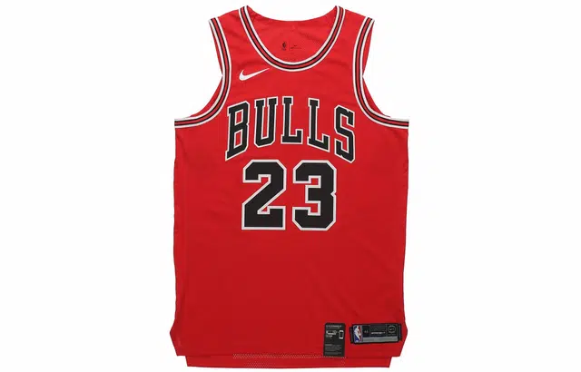 Jordan NBA Icon Edition Authentic Jersey (Chicago Bulls) AU