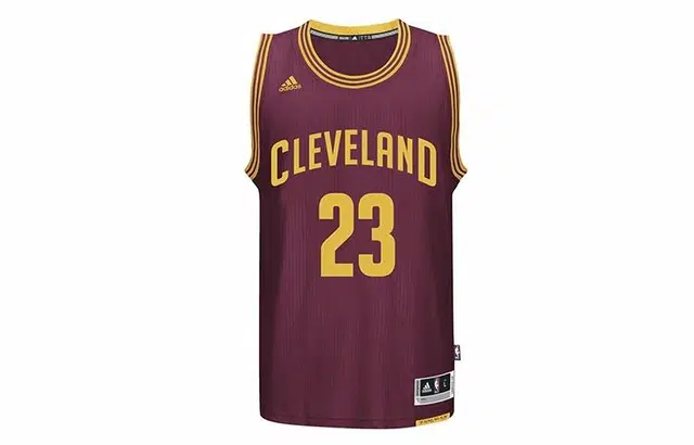 adidas SW Cleveland Cavaliers LeBron James Jersey