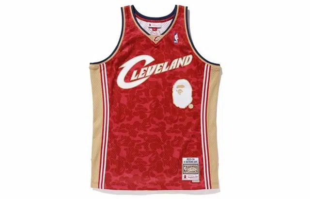 A BATHING APE x Mitchell Ness