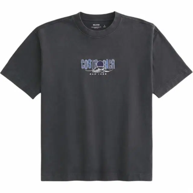 Hollister T