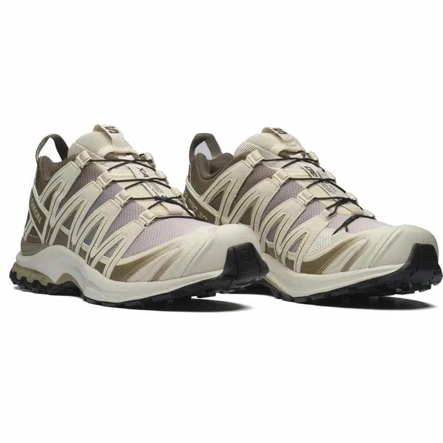 SALOMON XA PRO 3D