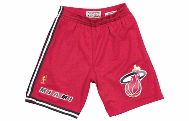 Mitchell Ness SW 96-97