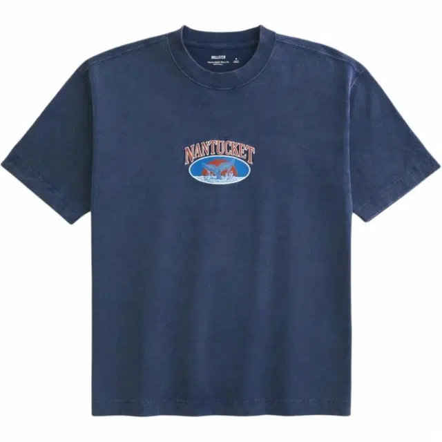 Hollister T