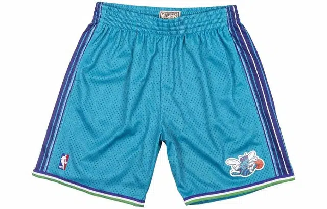 Mitchell Ness SW 99