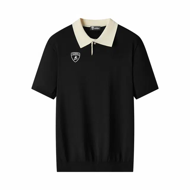 Automobili Lamborghini Polo