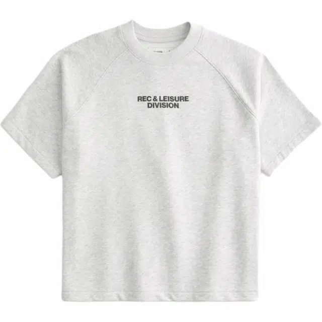 Hollister T