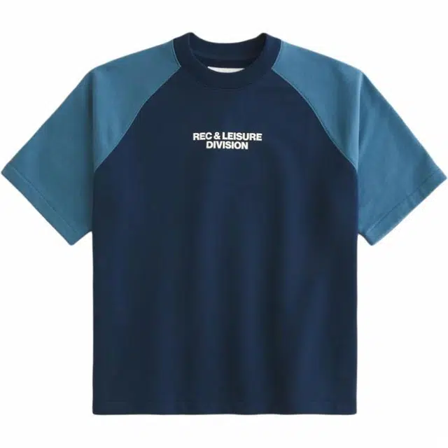 Hollister T