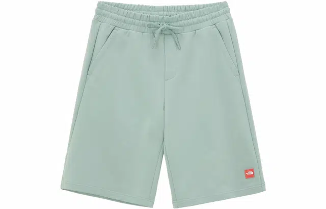 THE NORTH FACE Logoa