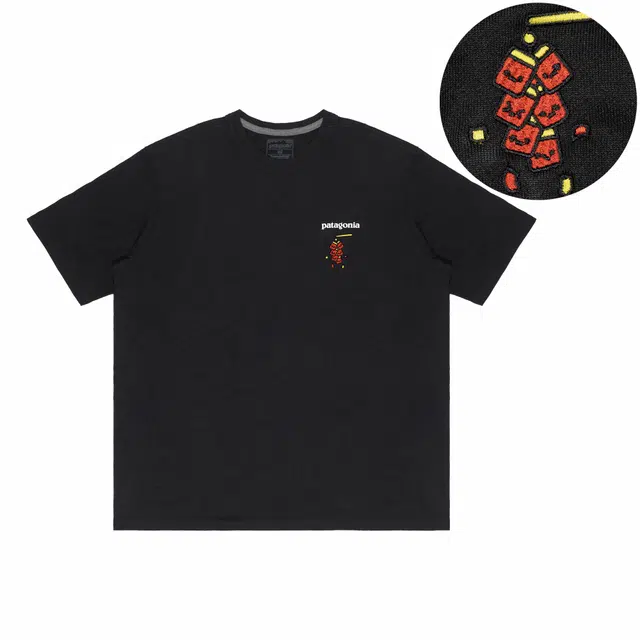 patagonia Extraordinary T BLK