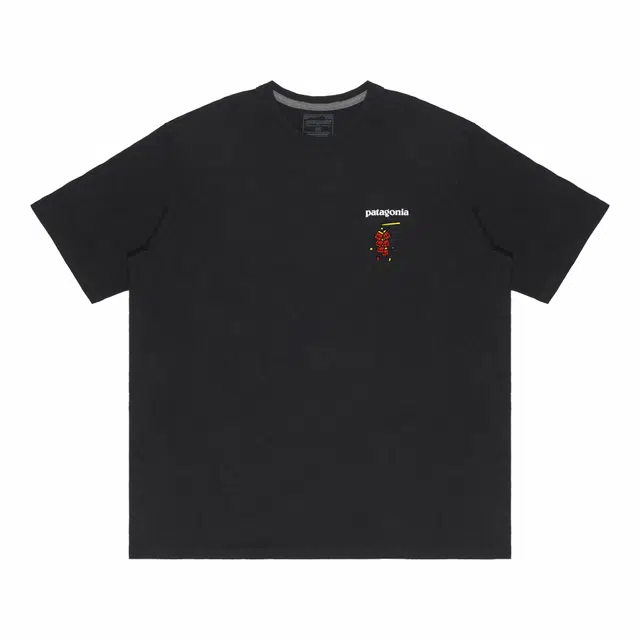 patagonia Extraordinary T BLK