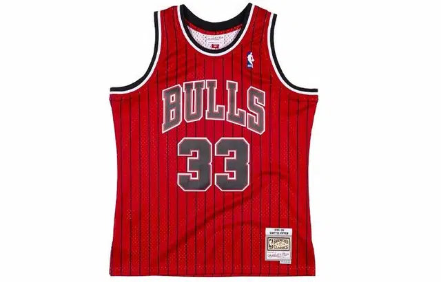 Mitchell Ness SW 95-96 33