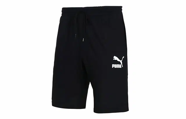 Puma Logo