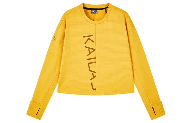 KAILAS T