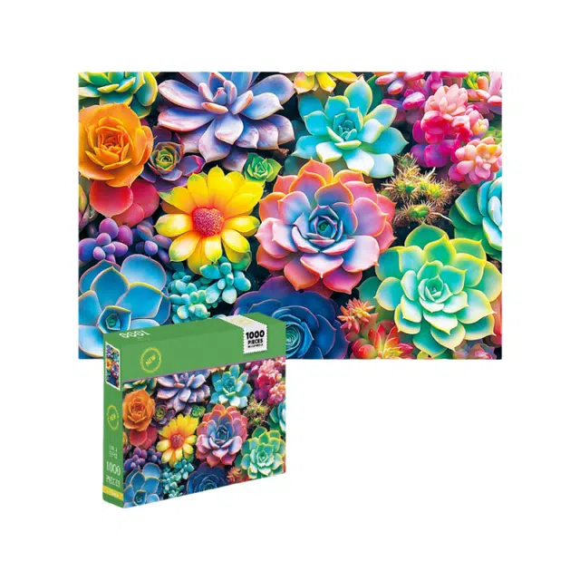 1000pcs DAW-