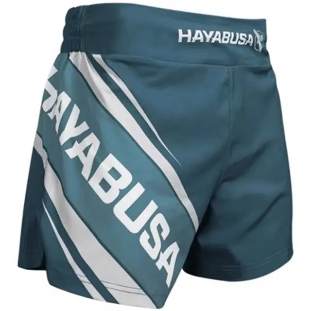 HAYABUSA