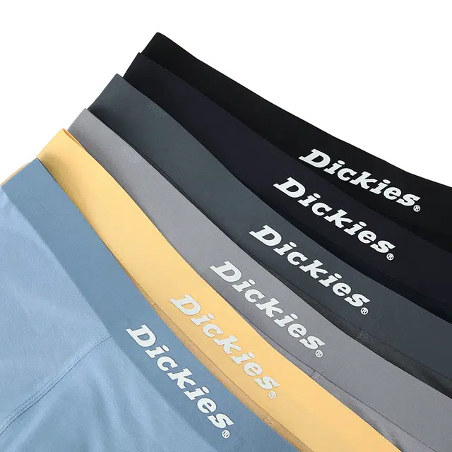 Dickies 3