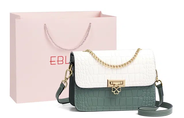 EBLAN ins