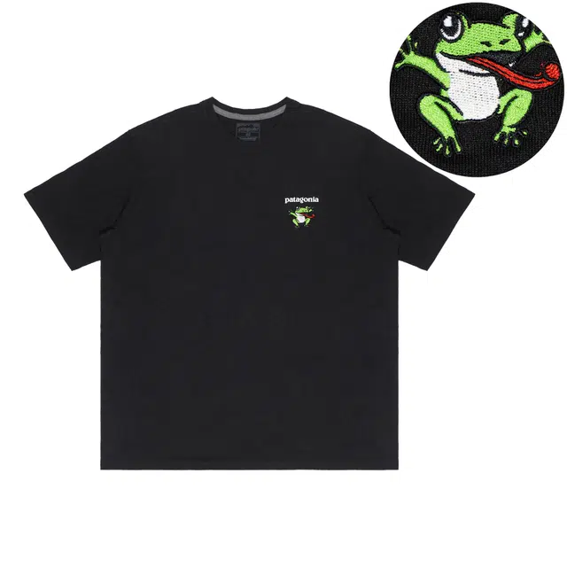 patagonia Extraordinary T