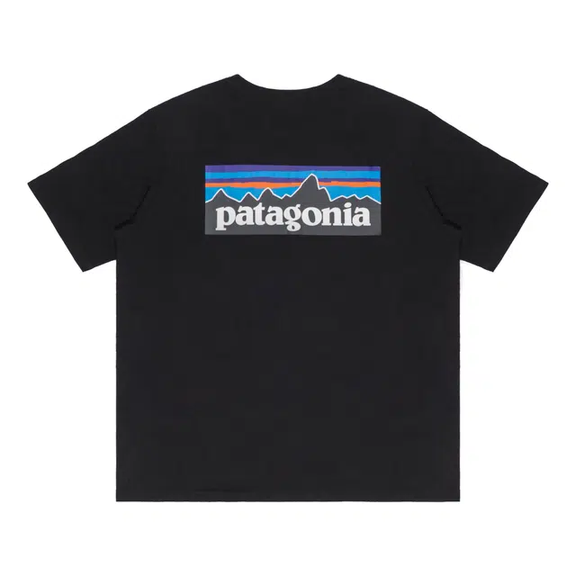patagonia Extraordinary T