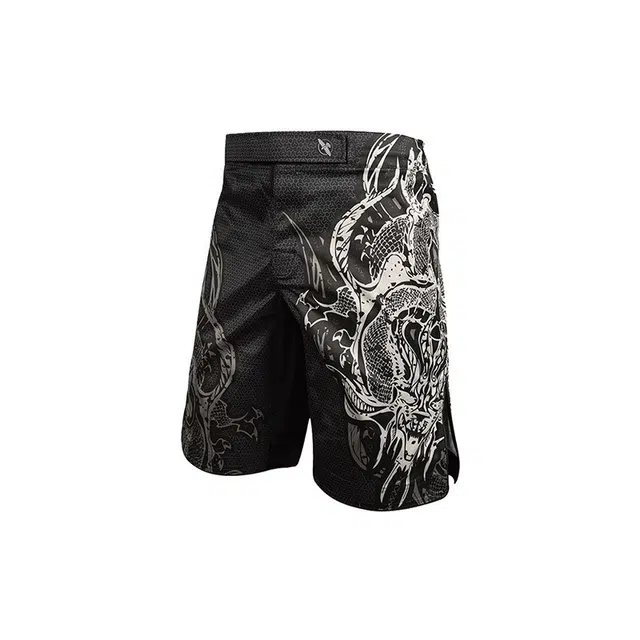 HAYABUSA MMA