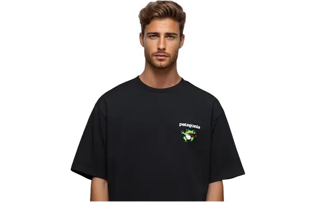 patagonia Extraordinary T