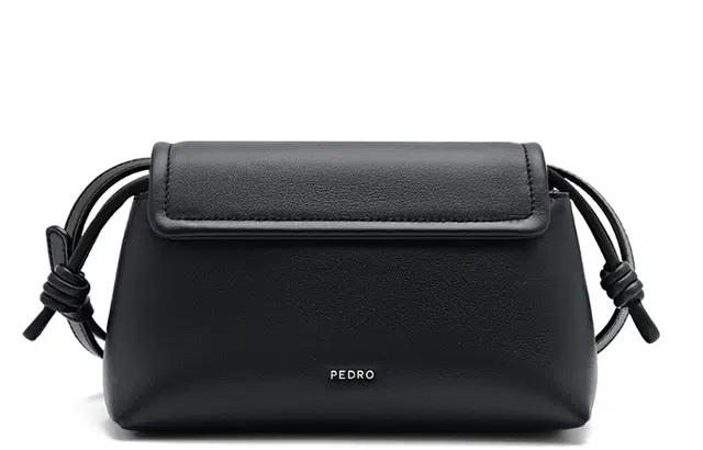 PEDRO Icon