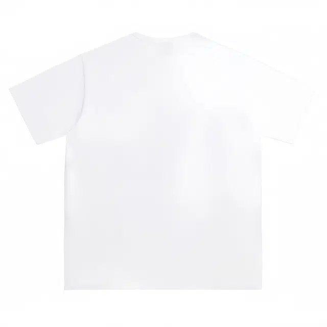 PAINT STAIN T