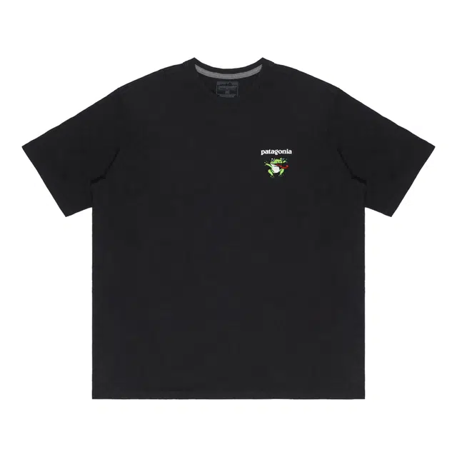 patagonia Extraordinary T