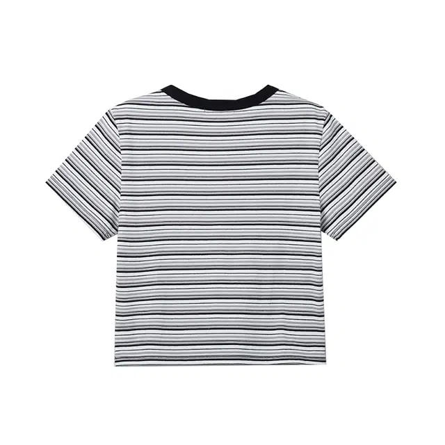 SPAO T