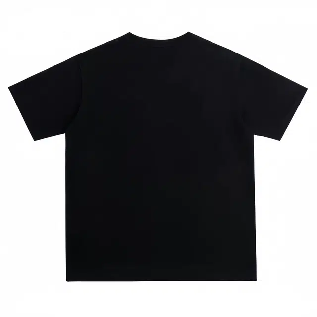 PAINT STAIN T