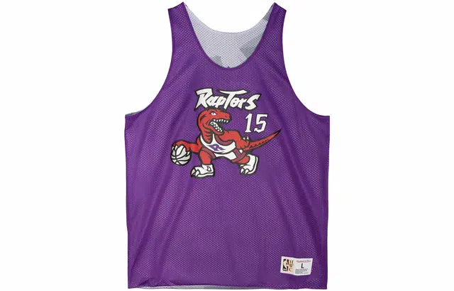 Mitchell & Ness Vince Carter 15 Raptors Jersey