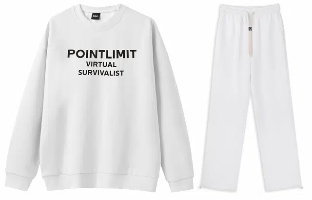 POINTLIMIT Logo