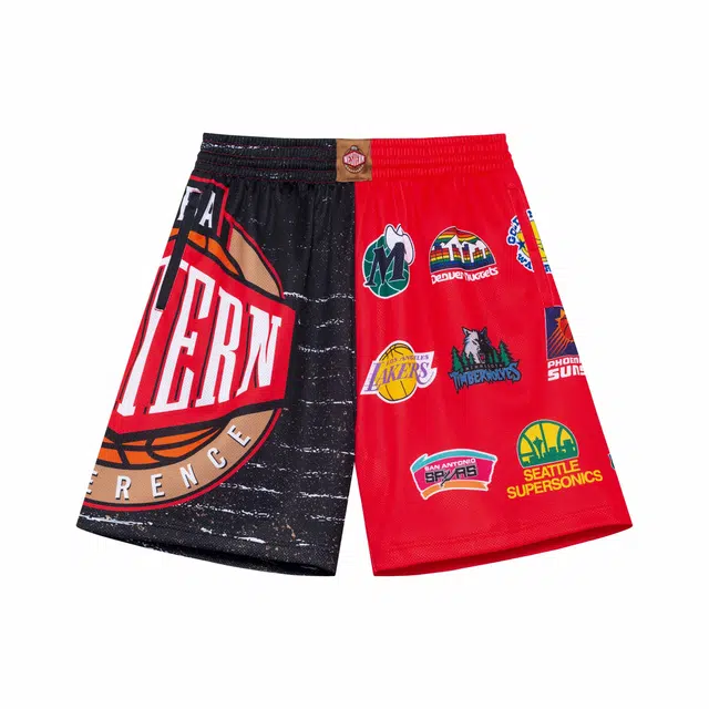 Mitchell Ness 1995NBA logo