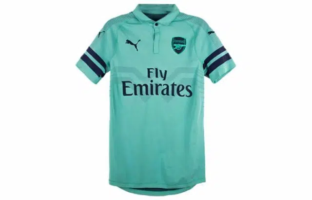 PUMA Polo 1819