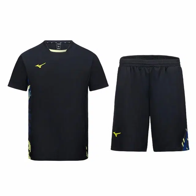 Mizuno T