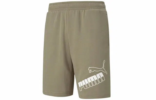 Puma Logo