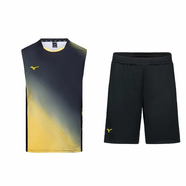 Mizuno T