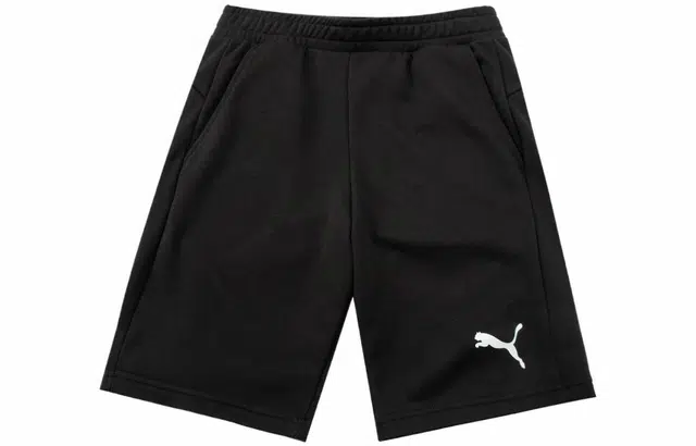 Puma Logo