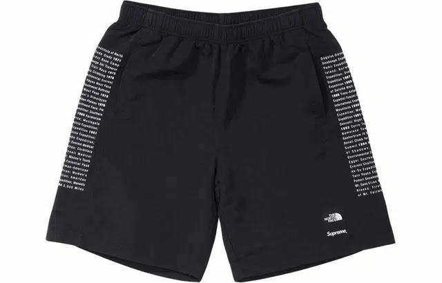 Supreme x THE NORTH FACE SS24 WEEK3 NYLON SHORT