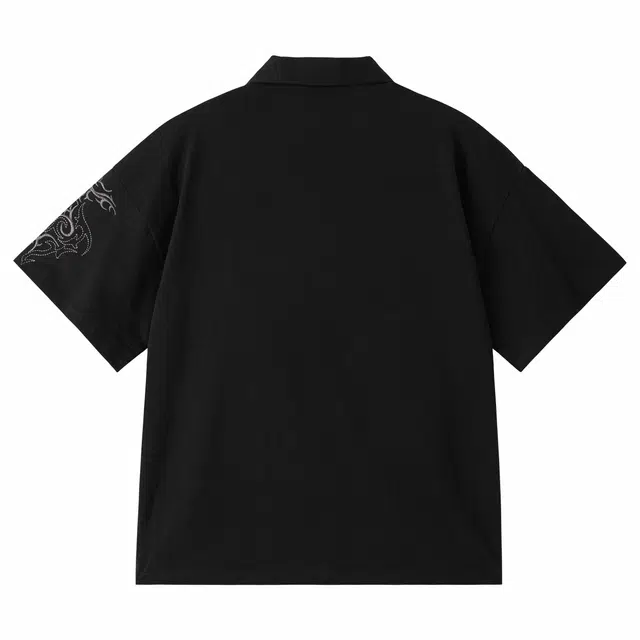 PILOTDRAGON PoloPOLO