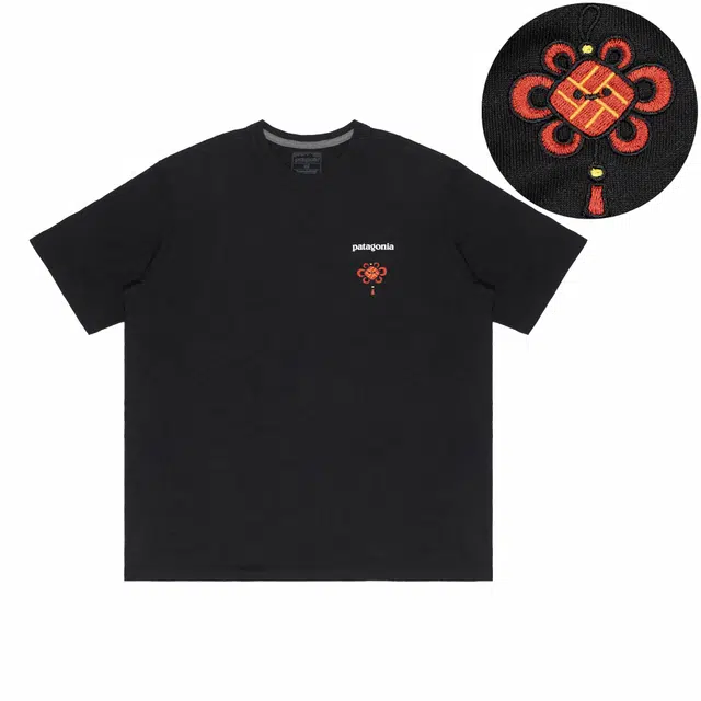 patagonia Extraordinary T