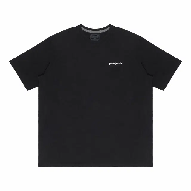 patagonia Extraordinary T