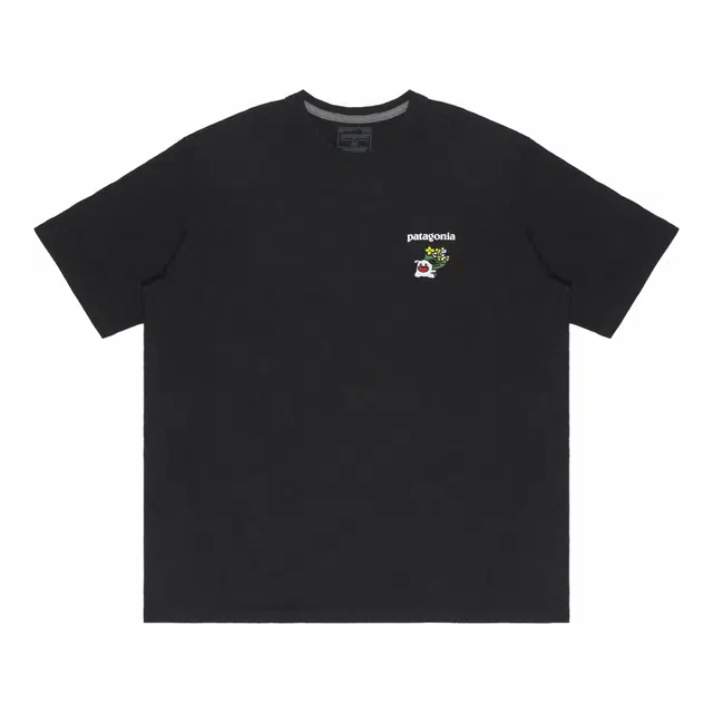 patagonia Extraordinary T
