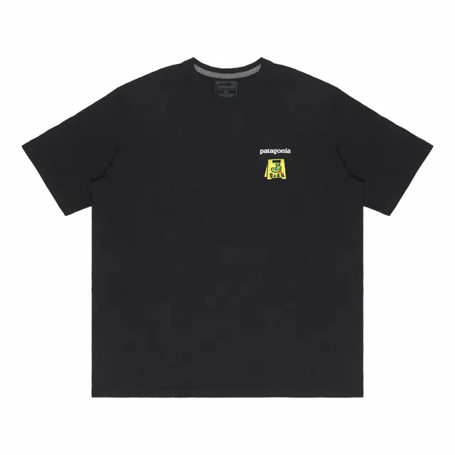 patagonia Extraordinary T