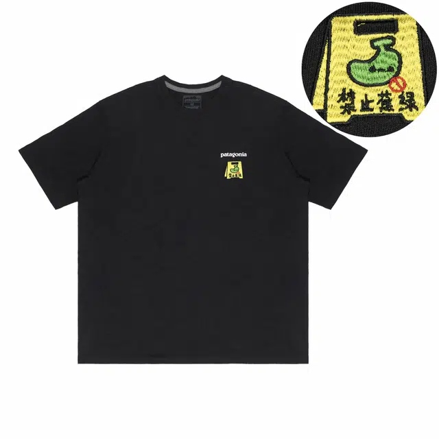 patagonia Extraordinary T