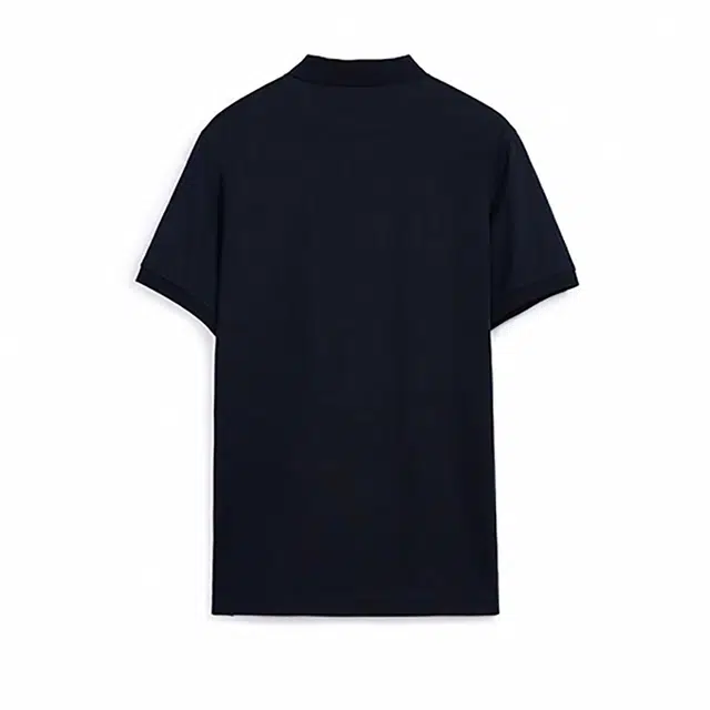 MCS Polo