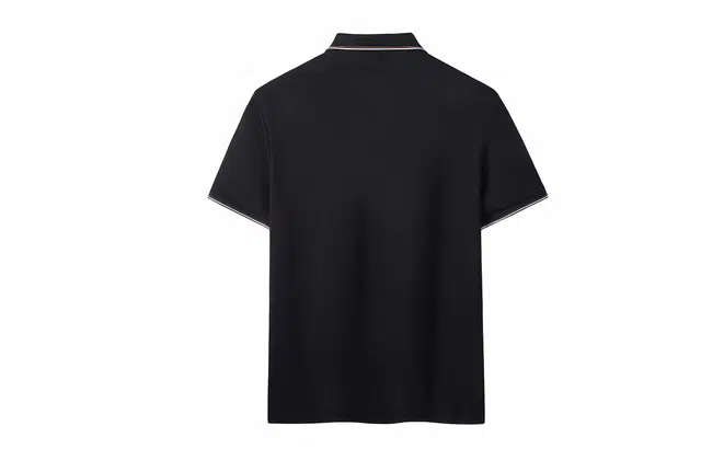 CSKS LogoPolo