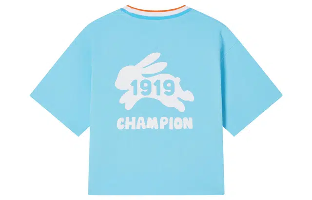 Champion x Melting Sadness FW23 LogoT